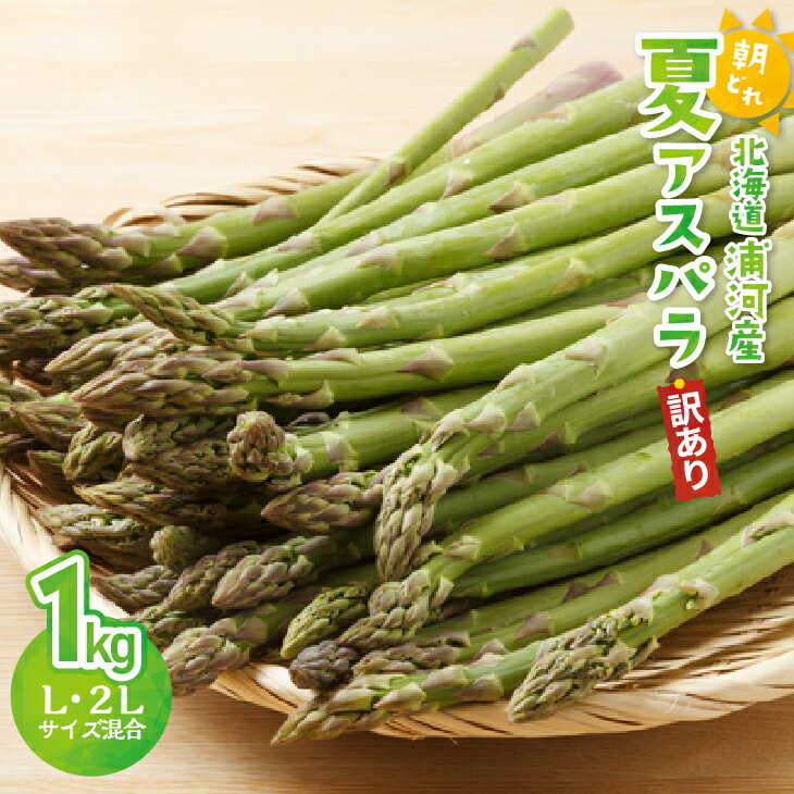 【ふるさと納税】【先行受付開始！】【訳あり】北海道浦河産 朝採り夏アスパラ(グリーン)1kg[03-145]※離島・沖縄県発送不可※ 北海道 浦河町 ふるさと納税 アスパラガス 旬 訳あり 家庭用 送料無料