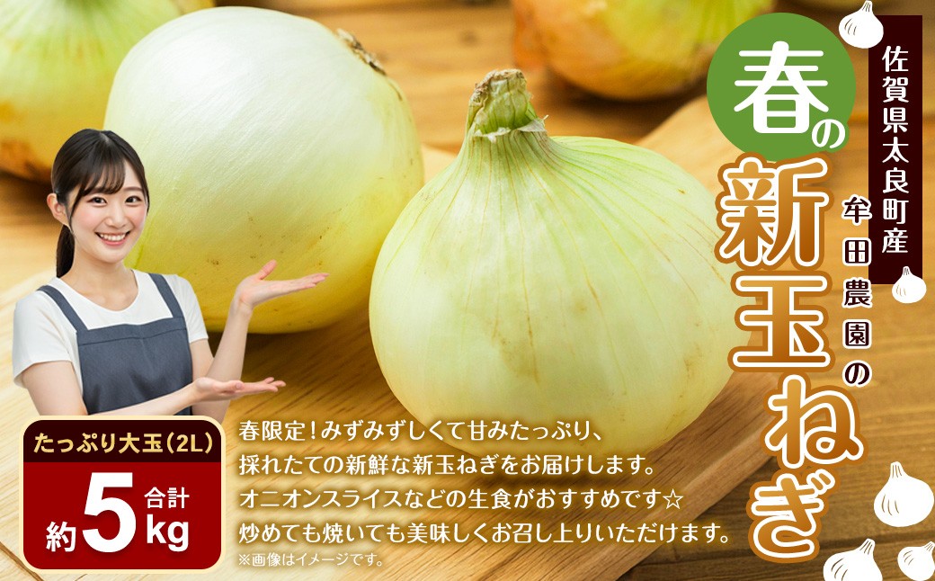 牟田農園の春の新玉ねぎ たっぷり大玉 5kg （2L） 