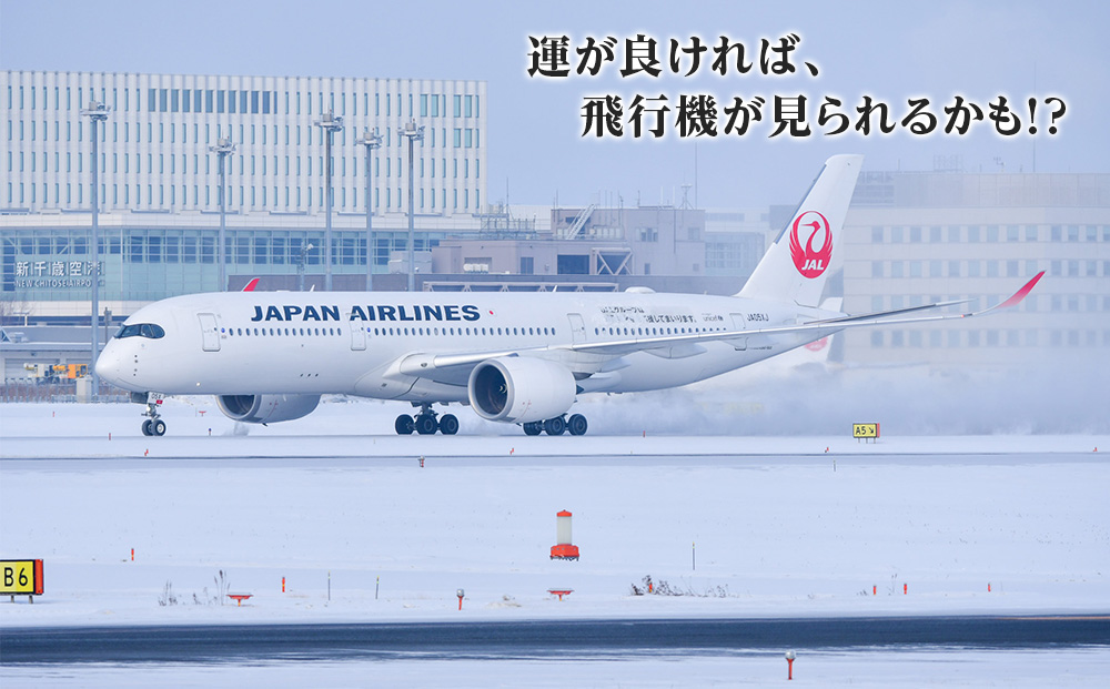 JALスタッフとめぐる新千歳空港バックヤード見学ツアー《2026年3月20日 催行》