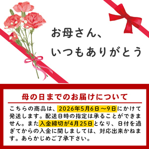 ＜先行予約受付中！2026年5月6日～9日に順次発送予定＞＜母の日ギフト＞柴田ポットカーネーション (赤色系・5号鉢) 母の日 プレゼント ギフト 花 鉢植え プレゼント フラワーセット 【しばたの未
