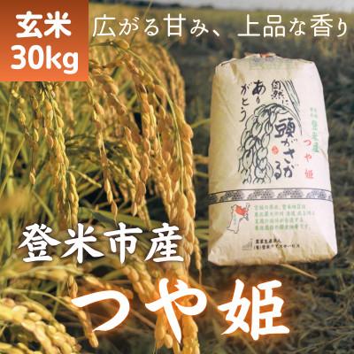 ふるさと納税 登米市 令和7年産　宮城県登米市産つや姫(玄米)30kg