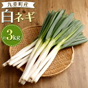 【ふるさと納税】白ネギ 約3kg 18本～30本 ねぎ ネギ 葱 高原ネギ 長ネギ 野菜 新鮮 旬 国産 九州産 大分県産 九重町 送料無料【2024年9月下旬-12月下旬発送】