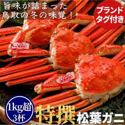 ふるさと納税 八頭町 【ボイル】特撰 松葉がに(タグ付き)1kg超の大きいサイズ　特大3杯