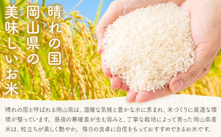 岡山県産 こしひかり 10kg(5kg×2袋) 無洗米 全農パールライス株式会社《30日以内に出荷予定(土日祝除く)》 岡山県 浅口市 送料無料 こめ 無洗米 コシヒカリ---124_3381_30d