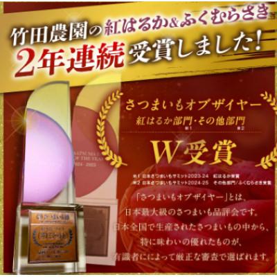 ふるさと納税 京丹後市 日本一!さつまいもオブザイヤー2部門受賞のサツマイモ農家が作る「紅はるか」冷凍焼き芋 2kg |  | 01