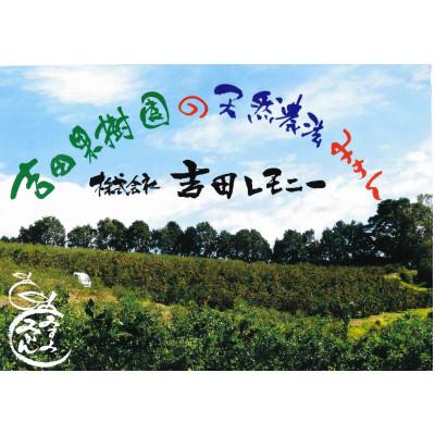 ふるさと納税 宇城市 先行予約 レモン 国産マイヤーレモン 3kg |  | 03