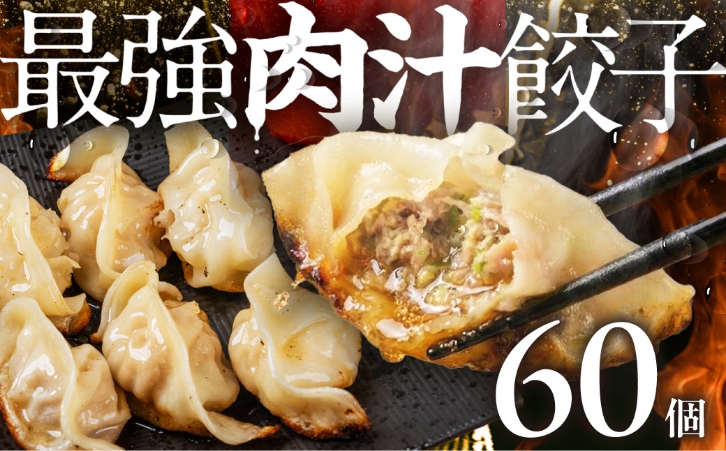 
                  ＼メディアで話題！／ 最強肉汁餃子 1箱（60個） 餃子 冷凍餃子 惣菜 ギョーザ ぎょうざ 中華 簡単調理 簡単 人気 ランキング 肉汁 美味しい 国産素材 豚肉 豚 ギフト 贈答 もっちり 冷凍惣菜 お惣菜 つまみ 愛知県 豊橋市
                