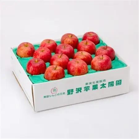 【贈答用にもどうぞ】 青森市産りんご「葉取らずサンふじ」約5kg_果物・フルーツ りんご  リンゴ 林檎_【配送不可地域：離島・沖縄県】【1466367】