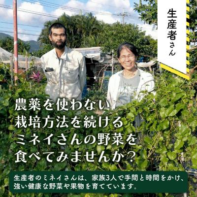 ふるさと納税 石垣市 沖縄の健康長寿の秘訣「琉球百薬(おかわかめ)」10袋と旬の野菜詰め合わせ |  | 02