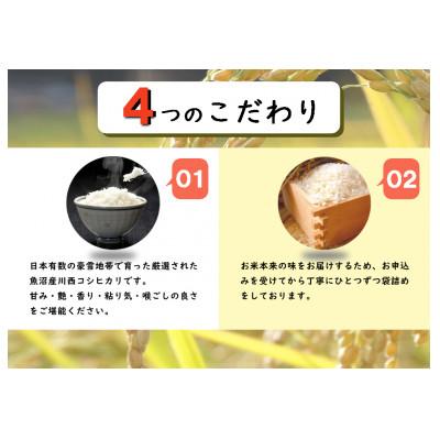 ふるさと納税 十日町市 【毎月定期便】新潟県魚沼産コシヒカリ 厳選 低温管理 自社精米 5kg全6回 |  | 01
