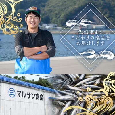 ふるさと納税 佐伯市 <訳あり>黄金いわし (60尾以上) |  | 03
