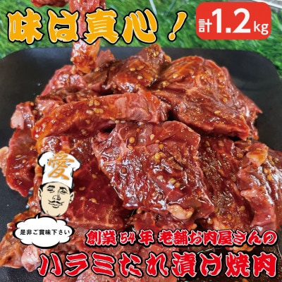《約1.2kg》当店注文率No.1のハラミたれ漬け焼肉(甘口しょうゆ味)　ホットプレート派に人気【配送不可地域：離島】【1677668】