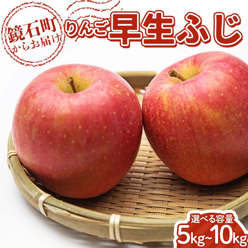 【ふるさと納税】＼選べる容量／＜先行予約＞福島県産 甘い りんご 早生ふじ リンゴ フルーツ 果物 F6Q-287var