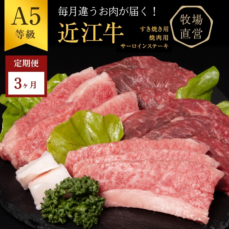 【近江牛　西川畜産】【3か月定期便】近江牛A5ランク雌牛　毎月違う肉が届く!近江牛味わいセット
