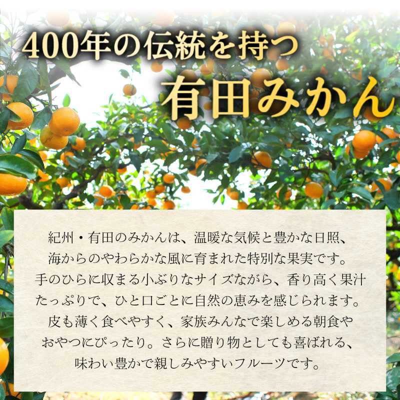 ゆら早生みかん 3kg（2S～Lサイズ） ※2026年11月上旬～12月上旬に順次発送予定 【tkn004-r-3B】