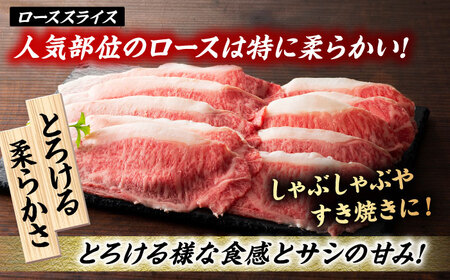 【6回定期便】くまもと黒毛和牛「藤彩牛」2種の食べ比べ計500g 3900【有限会社 スイートサプライなかぞの】[ZDT128]