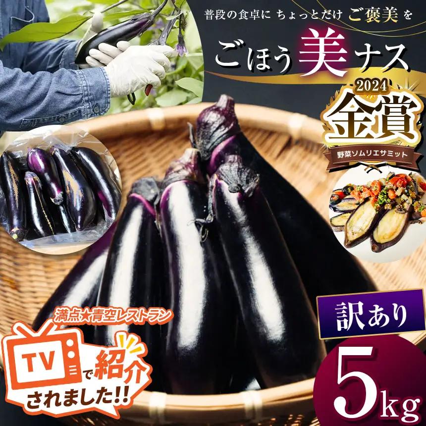 農家さん応援！訳ありごほう美ナス 約5kg