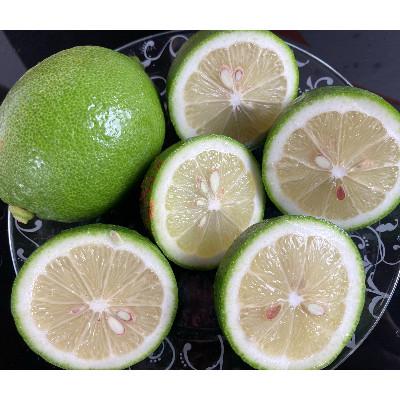 ふるさと納税 水俣市 国産レモン A品1kg(県認証特別栽培) |  | 01