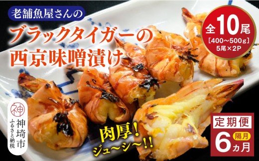 【隔月定期便6回】ブラックタイガーの西京味噌漬け 5尾×2パック×6回【海老 味噌漬け 焼くだけ 簡単調理 エビ料理 おつまみ おかず バーベキュー お弁当】(H032147)