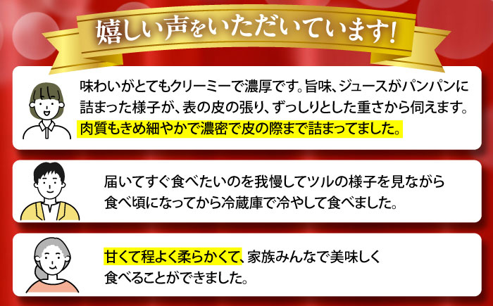 【2025年3月中旬〜発送】【平成新山メロンPREMIUM（とみちゃん厳選）】パパイヤメロン 6～8玉 約5Kg / メロン めろん 青肉 糖度 果物 くだもの フルーツ ふるーつ 旬 高級 ギフト 