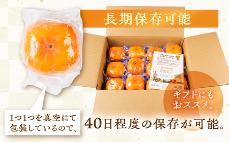 次郎柿 12個入 L~2L 贈答用 豊橋石巻 柿