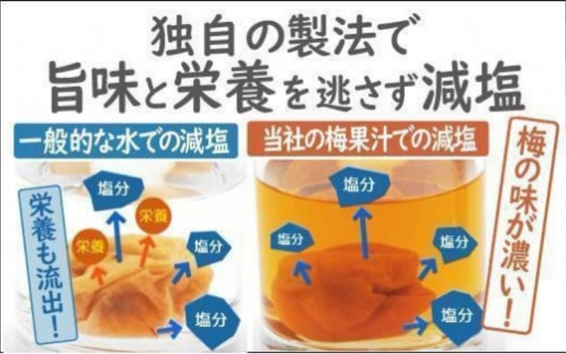 特選A級 紀州南高梅 甘しそ味800g 千年の知恵 梅干し ブランド梅 和歌山県産 【hoso012A】