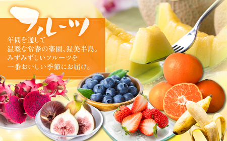 幻の野菜・フルーツ 定期便 6回お届け 先行予約 くだもの 果物 旬 めろん イチジク 夏 夏季 人気 愛知県 田原市 ド甘い