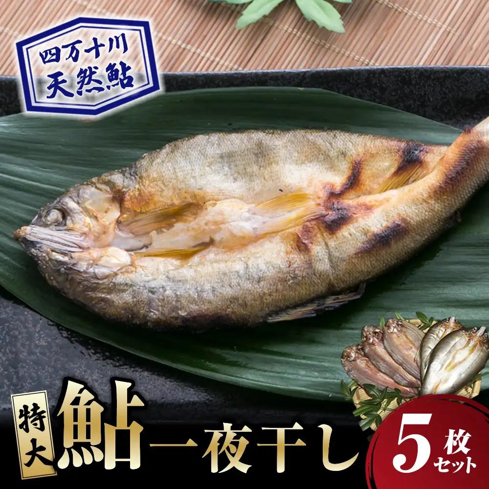 【四万十川の天然鮎】特大サイズ一夜干し5枚セット ／Esg-B27 あゆ アユ 鮎 川魚 あゆの塩焼き