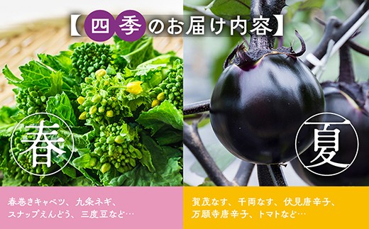 【9月発送】野菜定期便 6回 葉酸たまご付 7~10種類 旬の京野菜 スペシャルコース 詰め合わせ 季節 旬 野菜 やさい 野菜便 国産 国産野菜 新鮮 おまかせ 産地直送 春野菜 夏野菜 秋野菜 冬