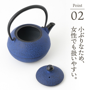 【6カ月以内発送予定】【ふるさと納税限定カラー】南部鉄器 鉄瓶 なごみ 0.6L 黒紺 伝統工芸品[Y0081]