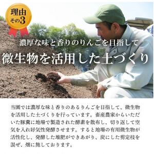 【南信州あじさい農園】葉とらずりんご(サンふじ)約15kg家庭用【1594218】