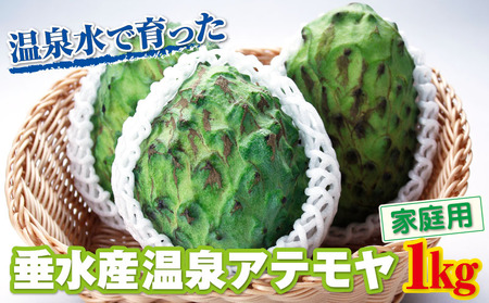 A1-22548／【家庭用】 垂水産温泉アテモヤ 1kg 森のアイスクリーム 希少な国産アテモヤ 訳あり