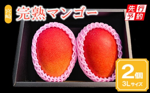 《2026年発送先行予約》【期間・数量限定】宮崎市産完熟マンゴー2玉 3Lサイズ(1玉400～449g)_M126-015_01