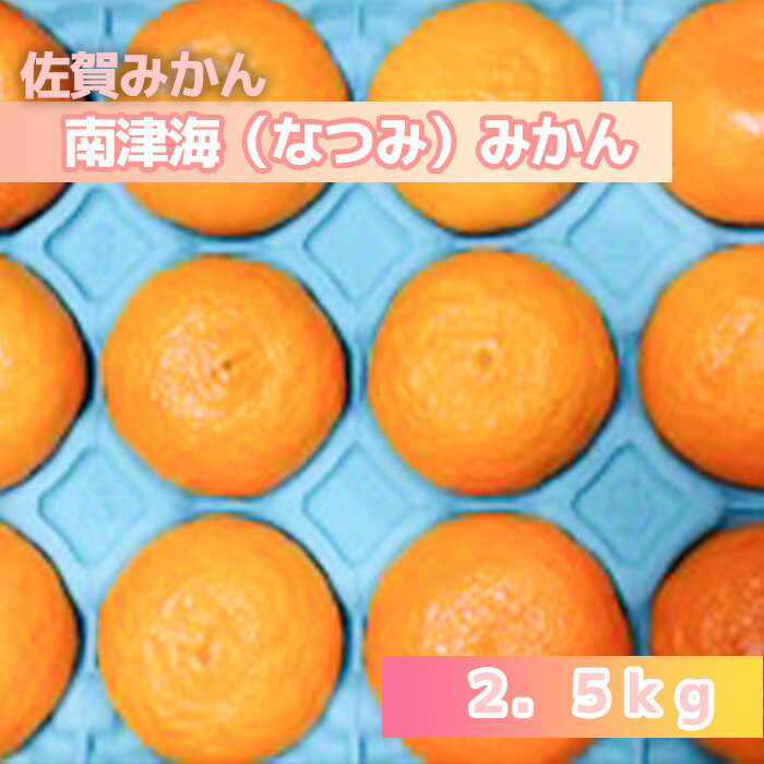 【ふるさと納税】南津海（なつみ）みかん2.5kg（DV144）