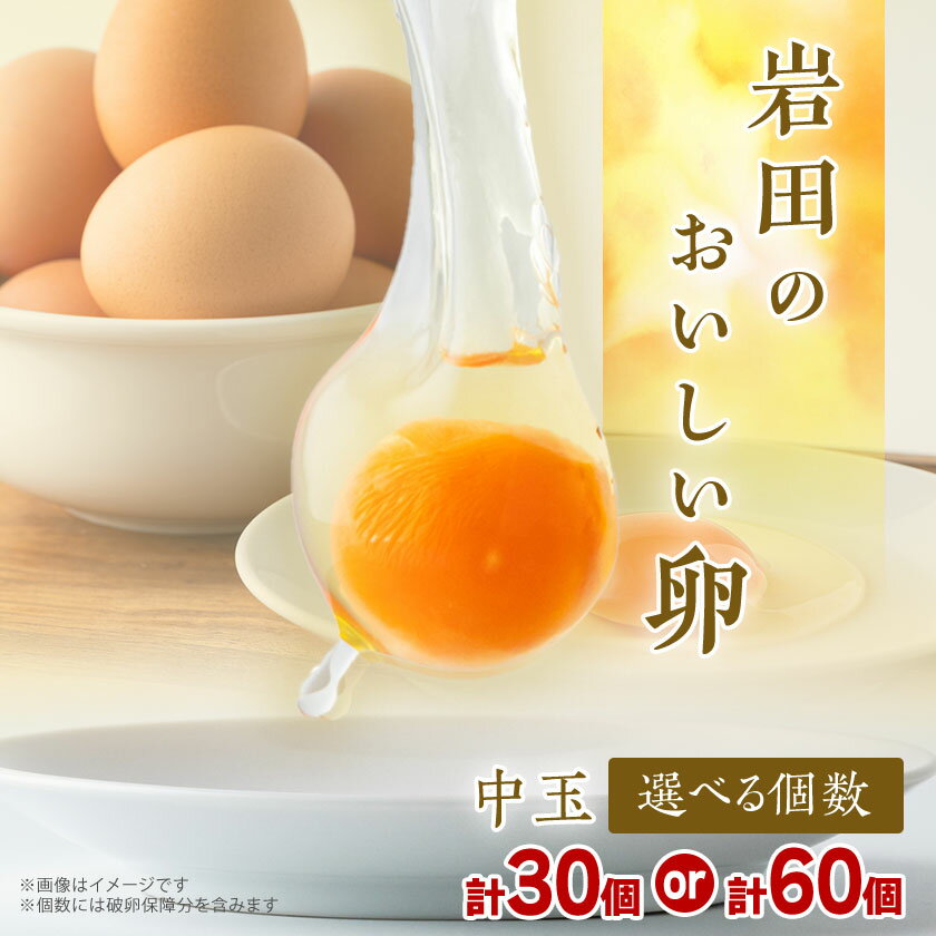岩田のおいしい卵　実用中玉60個 (10個入り×6パック)
