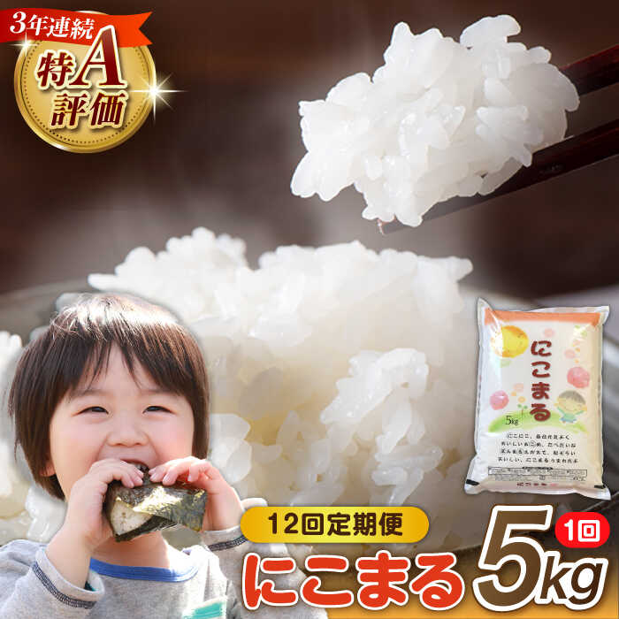 【ふるさと納税】【12回定期便】 長崎県産 精米 にこまる 5kg 総計 60kg / 白米 米 お米 こめ コメ ライス ご飯 ごはん 国産 お取り寄せ 仕送り 人気 おすすめ 贈り物 産地直送 5キロ 精米 おこめ kome 送料無料 / 南島原市 / 大松屋商店 [SDR004]
