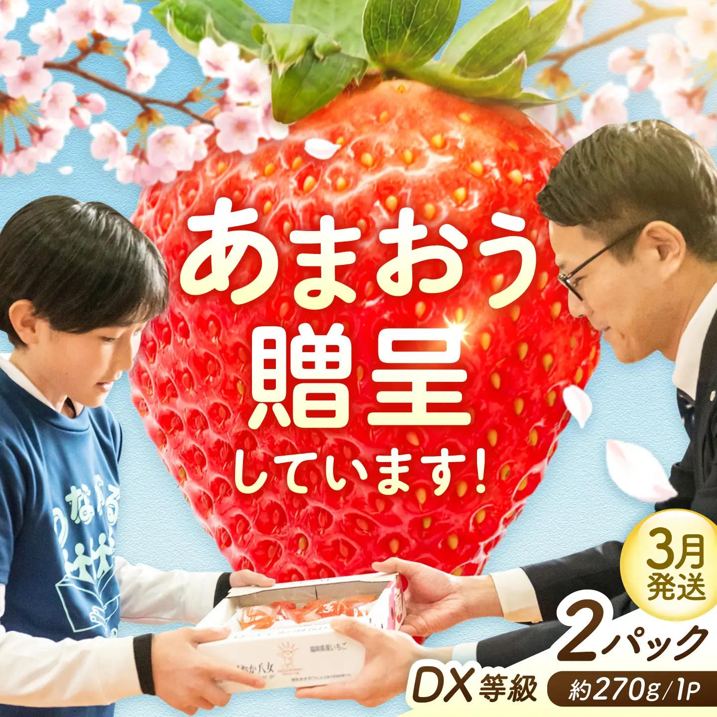 【3月発送】あまおうDX等級 1ケース（約270g×2パック） 広川町 / JAふくおか八女農産物直売所どろや[AFAB107]