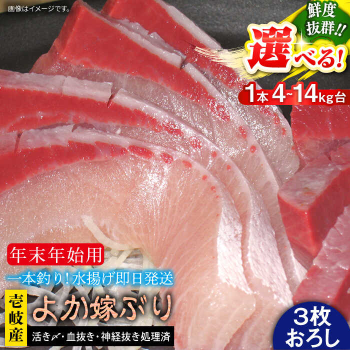 【ふるさと納税】【12/20〜翌1/5お届け】壱岐島産天然寒ブリ よか嫁ぶり（選べる4-14キロ台・3枚おろし）《壱岐市》【壱岐島 玄海屋】[JBS141]