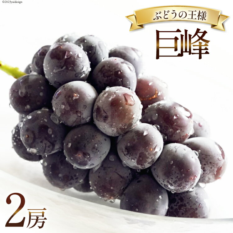 【ふるさと納税】 【2026年発送】ぶどう 先行受付 巨峰 約 450g 2房 計約 900g 前後 山梨 やまなし 韮崎市産フルーツ 果物 ブドウ 葡萄 山梨県産 産地直送 期間限定 季節限定 冷蔵 [Inakakara 山梨県 韮崎市 20745259]