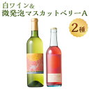 【ふるさと納税】白ワイン＆微発泡マスカットベリーA(合計1.05L・2本)ワイン 白ワイン 酒 お酒 甘口 甘口ワイン アルコール 微発泡 ぶどう 葡萄 安心院産 飲み比べ セット【100800700】【百笑一喜】