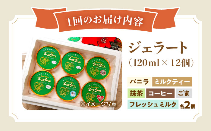 【3回定期便】シュシュ 定番ジェラート12個セット / アイス アイスクリーム ジェラート スイーツ /  大村市 / おおむら夢ファームシュシュ [ACAA414]