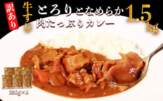 【訳あり】具だくさん やわらか牛すじカレー250g×6パック 計：約1.5kg 牛 牛すじ カレー レンジ 湯煎 【お届け時期：入金確認後３ヶ月前後で順次発送】