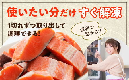 【定期便】銀鮭 切身 約50g×20切れ 全2回【2026年3月＆6月発送】