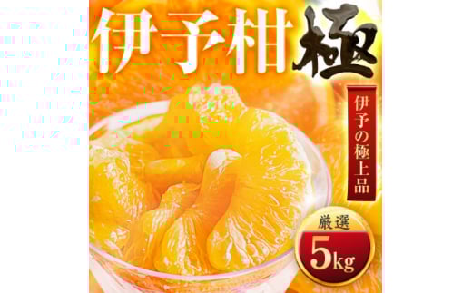 ＜太陽をたっぷり浴びた＞伊予柑＜極＞5kg＜C49-43＞【1509740】