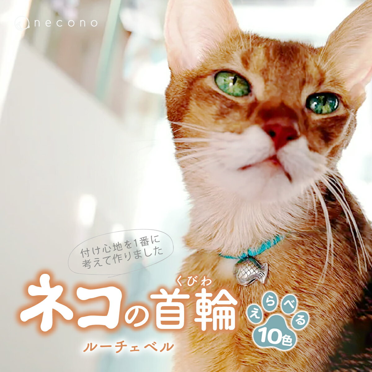 【ふるさと納税】選べるカラー necono Luce Bell ルーチェベル 猫の首輪 カラー選択 10色展開 | 埼玉県 上尾市 首輪 猫の首輪 猫用首輪 ペット用品 ペットグッズ ペット用ベッド おしゃれ かわいい 猫用品 かわいい 猫 ネコ ねこ