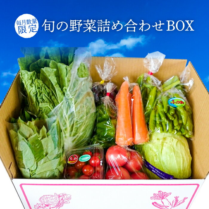 【ふるさと納税】野菜 農産物 おすすめ 旬 詰め合わせ BOX お楽しみ 国産 千葉県産 詰め合わせ セット JA きみつ 農家のこだわり