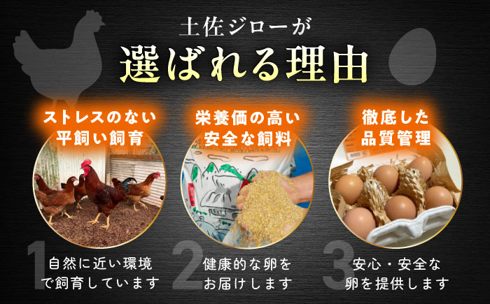 土佐ジロー鶏卵 40個 （10個×4パック）/ 高知 土佐 土佐ジロー 卵 たまご 玉子 鶏卵 卵焼き たまご焼き 玉子焼き 目玉焼き 生卵 卵かけご飯 TKG ギフト 贈り物 【とさやま養鶏場】 [