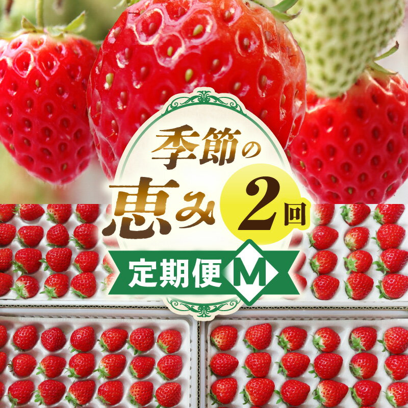 【ふるさと納税】季節の恵み2回定期便M 果物 フルーツ 青果 青果物 デザート スイーツ 果実 旬 季節 旬の果物 季節の果物 生鮮食品 生鮮 贈答 贈り物 ギフト プレゼント おすそ分け お祝い 内祝い ご褒美 人気 グルメ お取り寄せ 特産品 特産 国産 香川県 三木町 送料無料