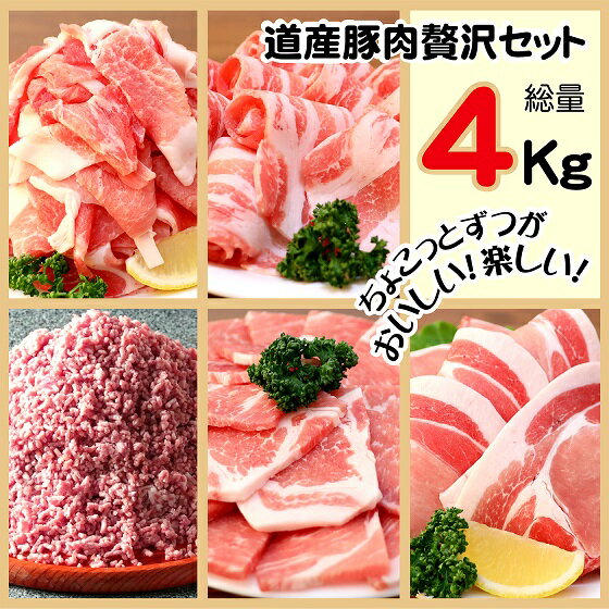 【ふるさと納税】＜1～2か月待ち＞肉屋のプロ厳選！ 北海道産 豚肉 贅沢 詰め合わせ セット 4kg [007-0009]