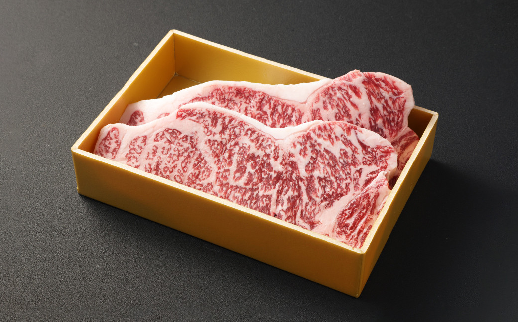 長崎和牛「出島ばらいろ」特選霜降 サーロインステーキ たっぷり 500g
